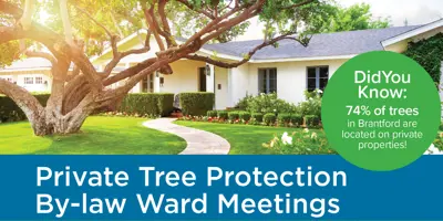 enews_2023-10_treeprotection.jpg