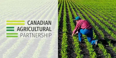 news_2020-aug_Canadian-Immigration-Partnership.jpg