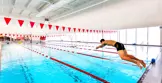 swimmer dives into the pool at the Laurier Brantford YMCA